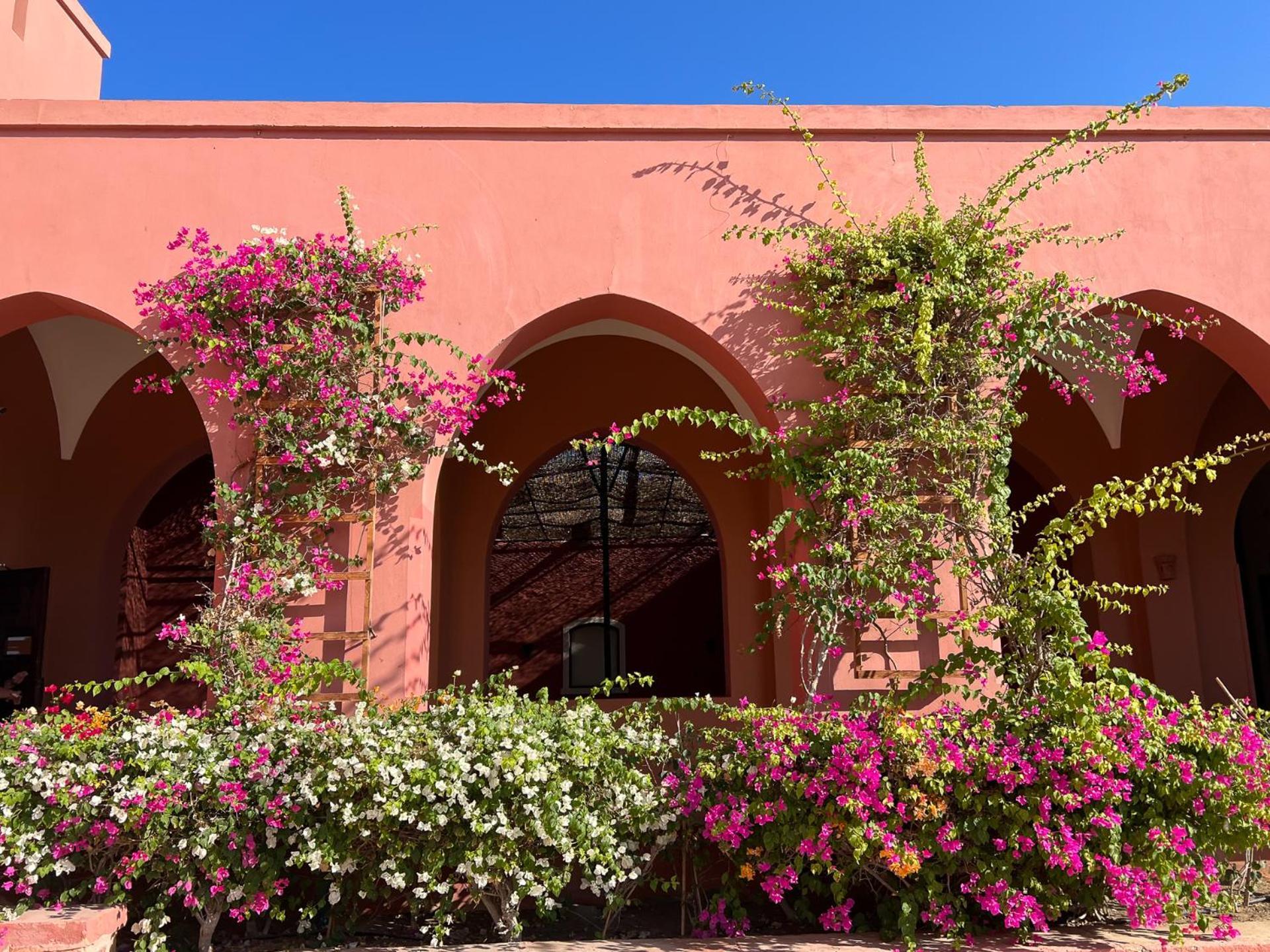 El Qoseir Radisson Blu Resort El Quseir מראה חיצוני תמונה